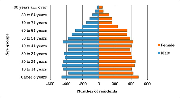 Demographics City Of Kelso 