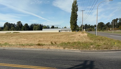 Grass - after