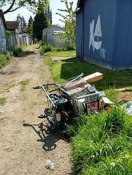Cart Before